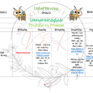 Graad 3 Lewensvaardighede Beplanning en Aktiwiteite Kwartaal 4 2023