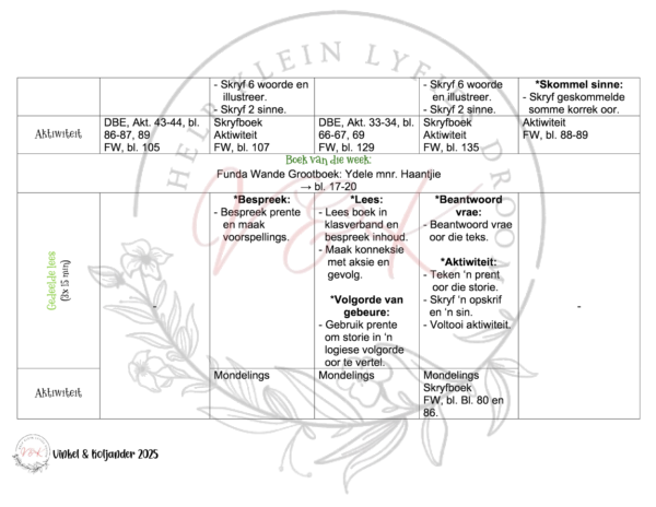 Graad 1 Lesbeplanning Kwartaal 2 2025 - Image 3