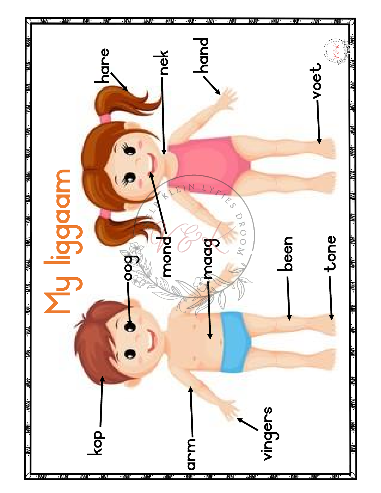 Graad 1 LV beplanning en aktiwiteite Kwartaal 1 2024 - Image 3
