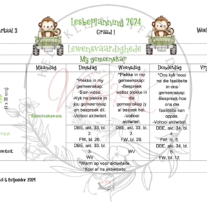 Graad 1 Lewensvaardighede Beplanning en aktiwiteite Kwartaal 3 2024