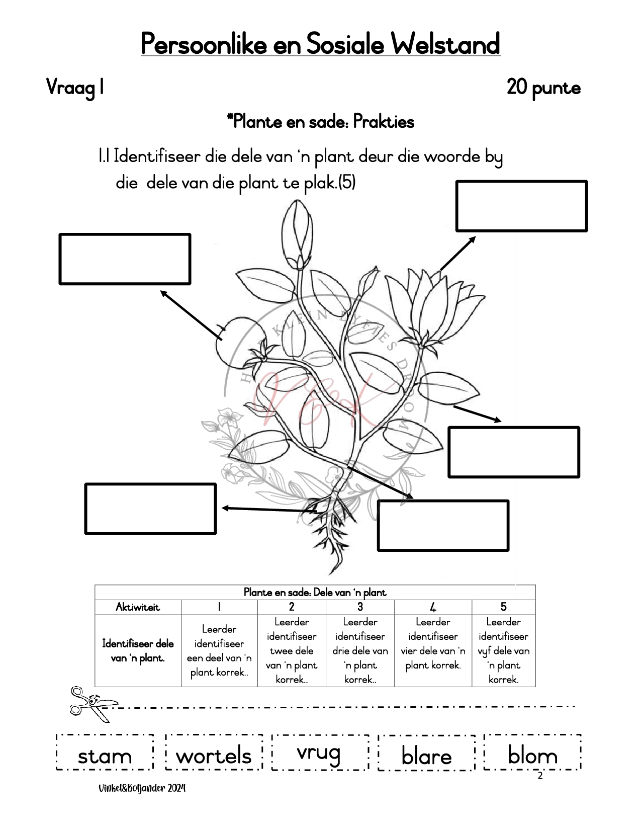 Graad 1 Lewensvaardigheid Assessering Kwartaal 3 2024 - Image 2