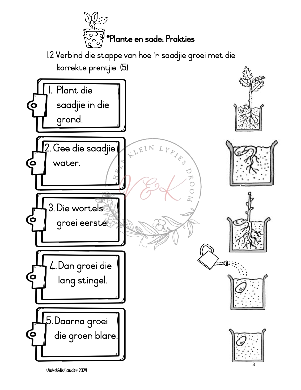 Graad 1 Lewensvaardigheid Assessering Kwartaal 3 2024 - Image 3