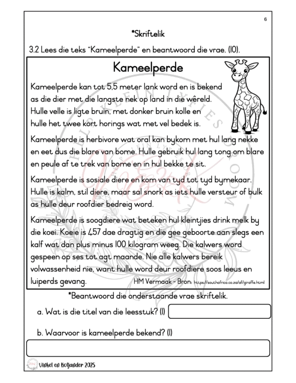 Graad 2 Afrikaans Huistaal Formele Assesserings Taak - Kwartaal 2 2025 - Image 2