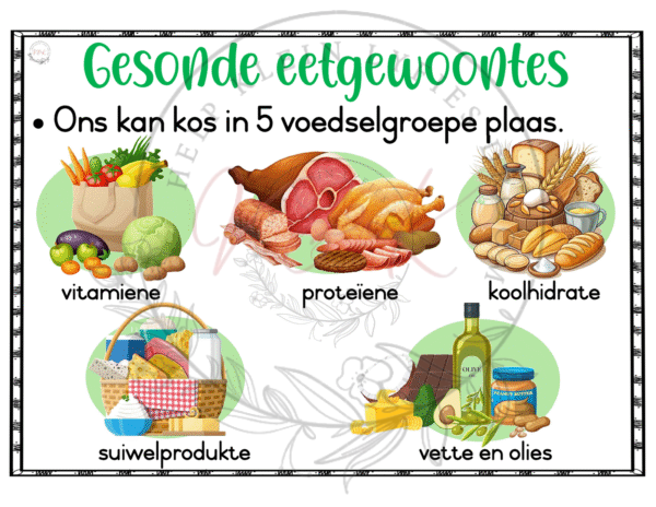 Graad 3 Lewensvaardigheid Temas en Plakkate - Kwartaal 2 - Image 2