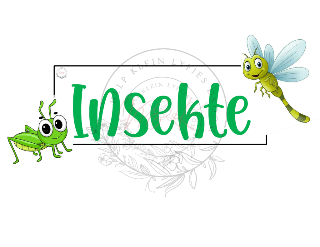 Graad 3 Lewensvaardigheid Temas en Plakkate - Kwartaal 2