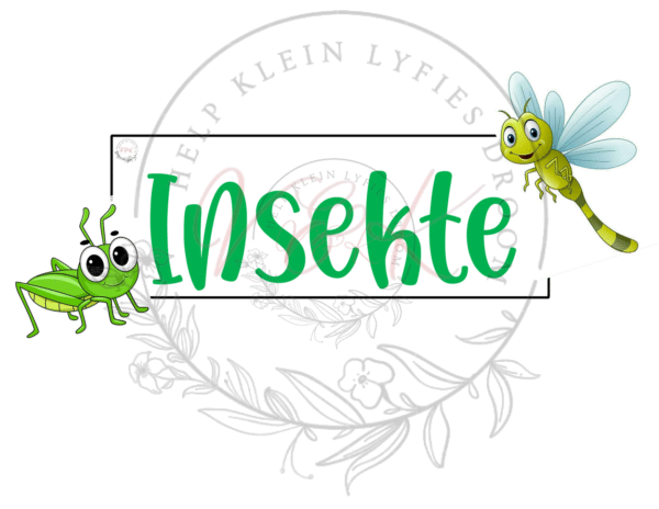 Graad 3 Lewensvaardigheid Temas en Plakkate - Kwartaal 2