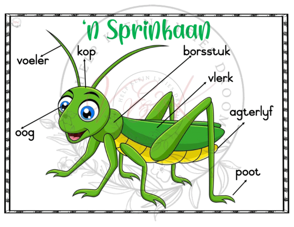 Graad 3 Lewensvaardigheid Temas en Plakkate - Kwartaal 2 - Image 3