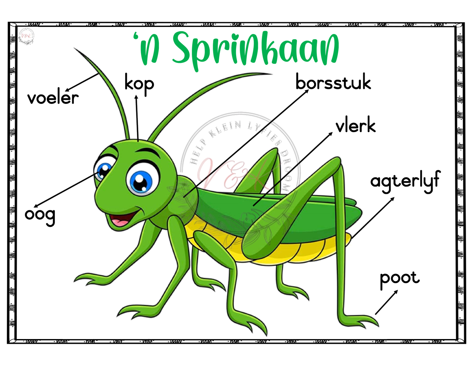 Graad 3 Lewensvaardigheid Lesbeplanning Pakket - Kwartaal 2 2025 - Image 10