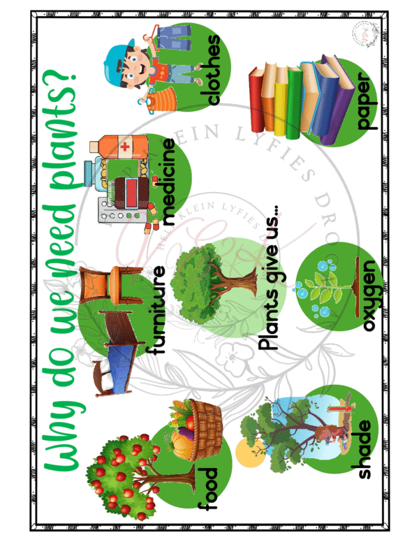 Grade 1 Life Skills Posters - Term 3 - Image 4