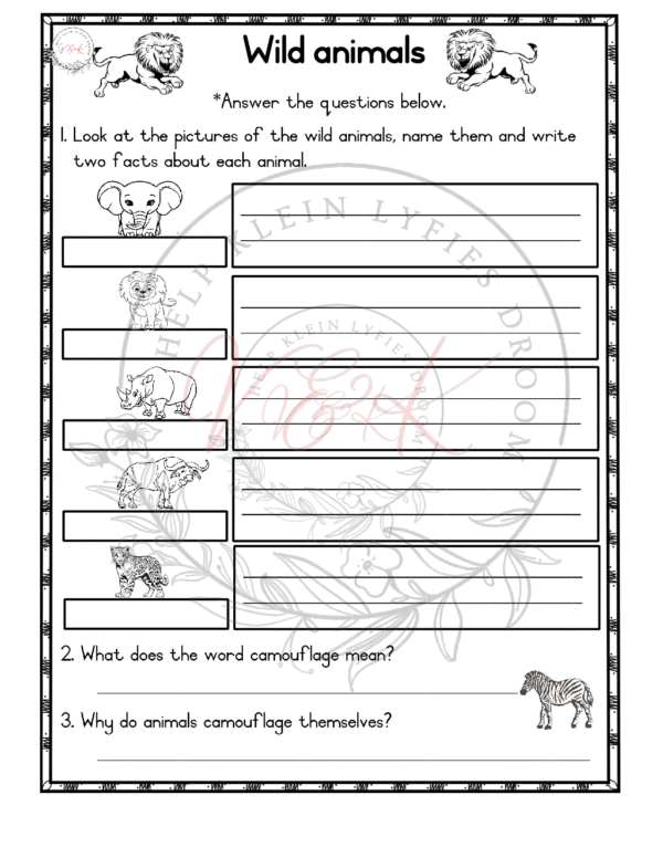 Grade 2 Life Skills Lesson Planning Package - Term 2 - Image 5