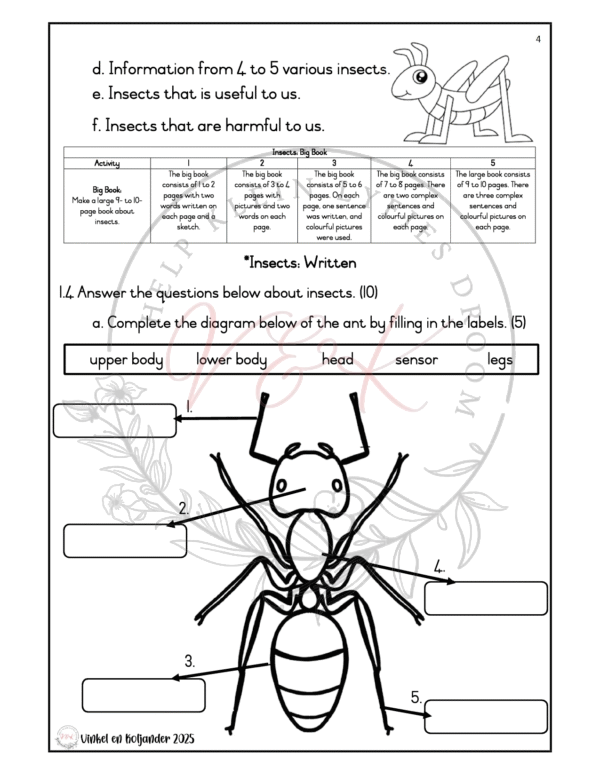 Grade 3 Life Skills Formal Assessment Task - Term 2 2025 - Image 2