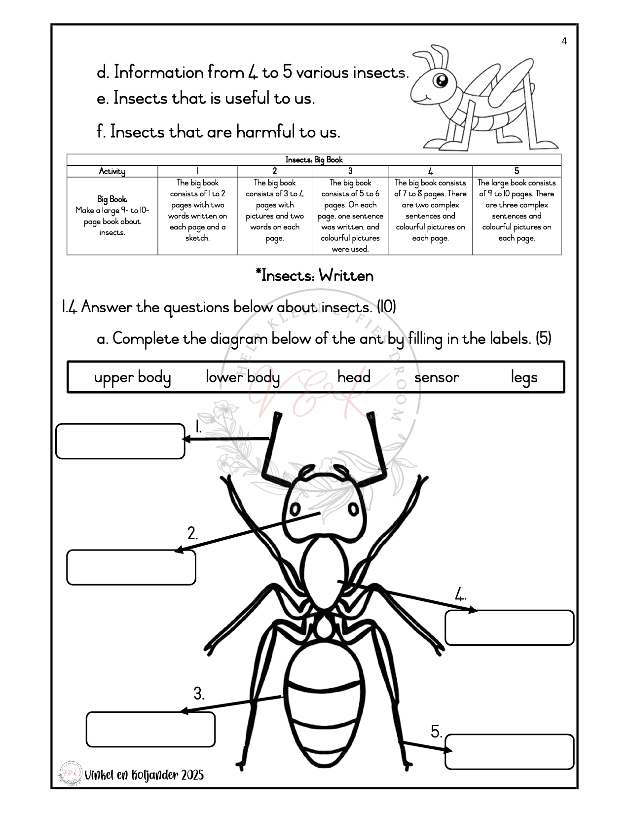 Grade 3 Life Skills Formal Assessment Task - Term 2 2025 - Image 2