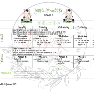 Grade 3 Mathematics Lesson Planning Package - 2 2025