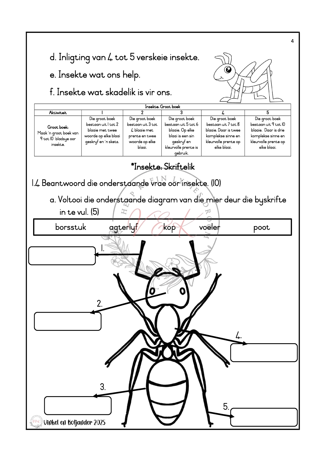 Graad 3 Lewensvaardigheid Formele Assesserings Taak - Kwartaal 2 2025 - Image 2