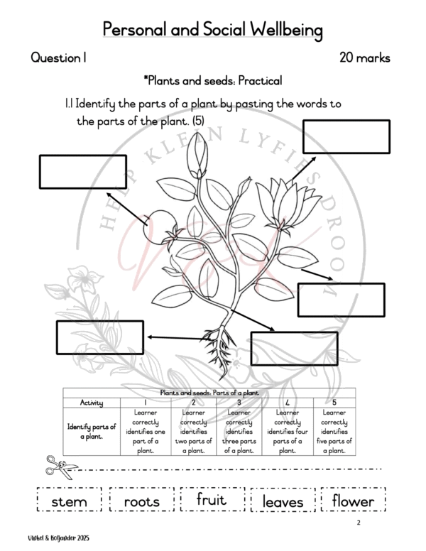 Grade 1 Life Skills Formal Assessment Task - Term 3 - Image 2