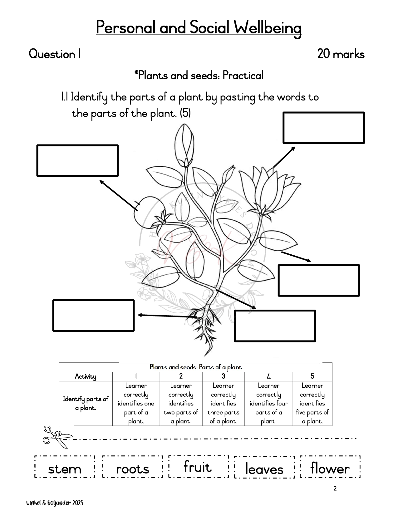 Grade 1 Life Skills Formal Assessment Task - Term 3 - Image 2