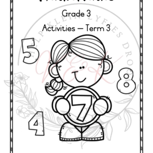 Grade 3 Mathematics Activity Book - Term 3 2025