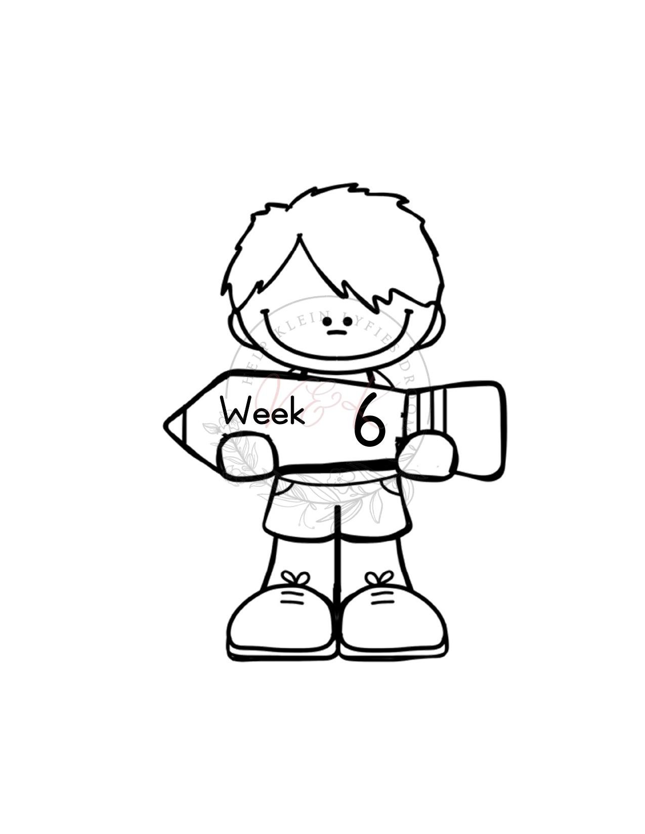 Grade 3 Mathematics Lesson Planning Package - Term 1 2025 - Image 18