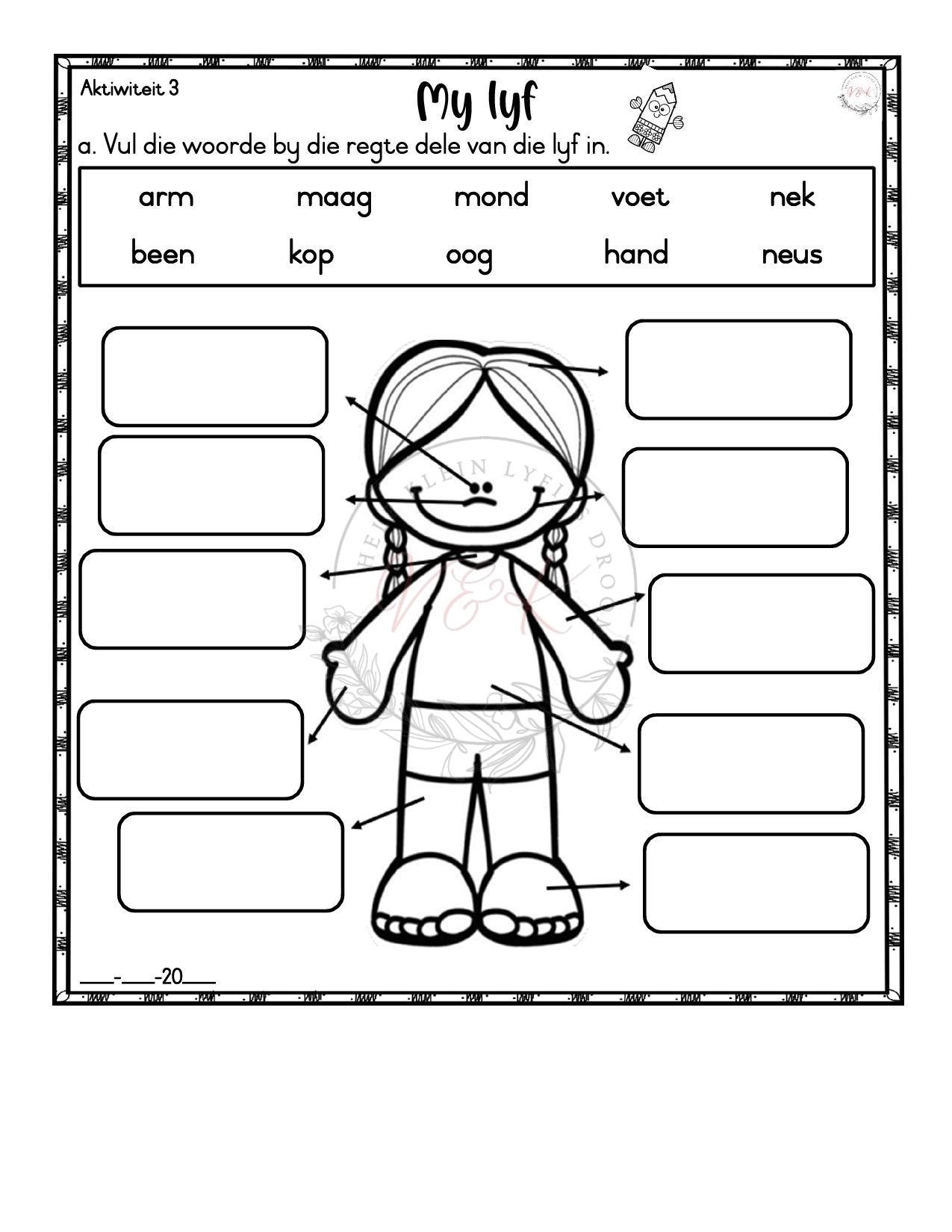 Graad 1 Lewensvaardigheid Lesbeplannings Pakket - Kwartaal 1 2026 - Image 5