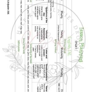 Grade 1 English First Additional Language Lesson Planning - Term 2 2026