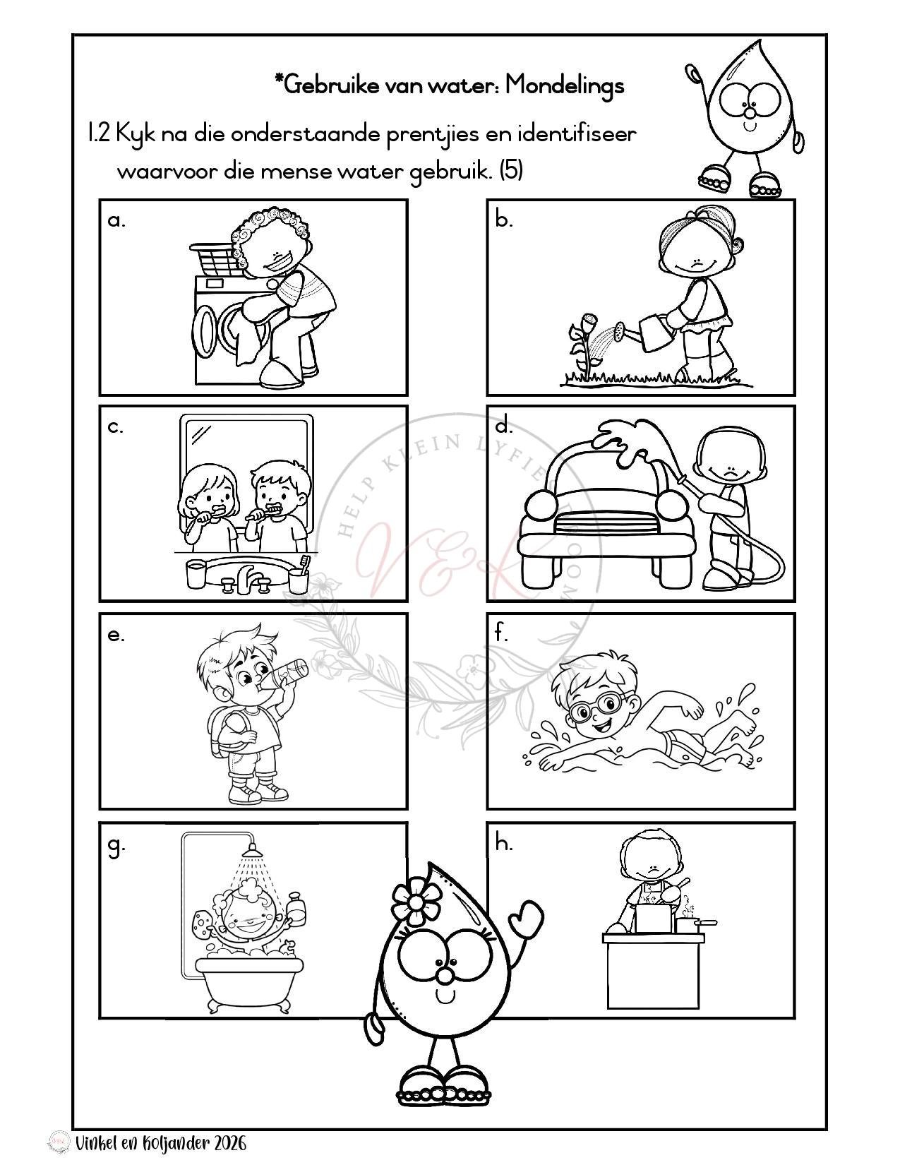 Graad 1 Assesserings Pakket - Kwartaal 4 2026 - Image 9